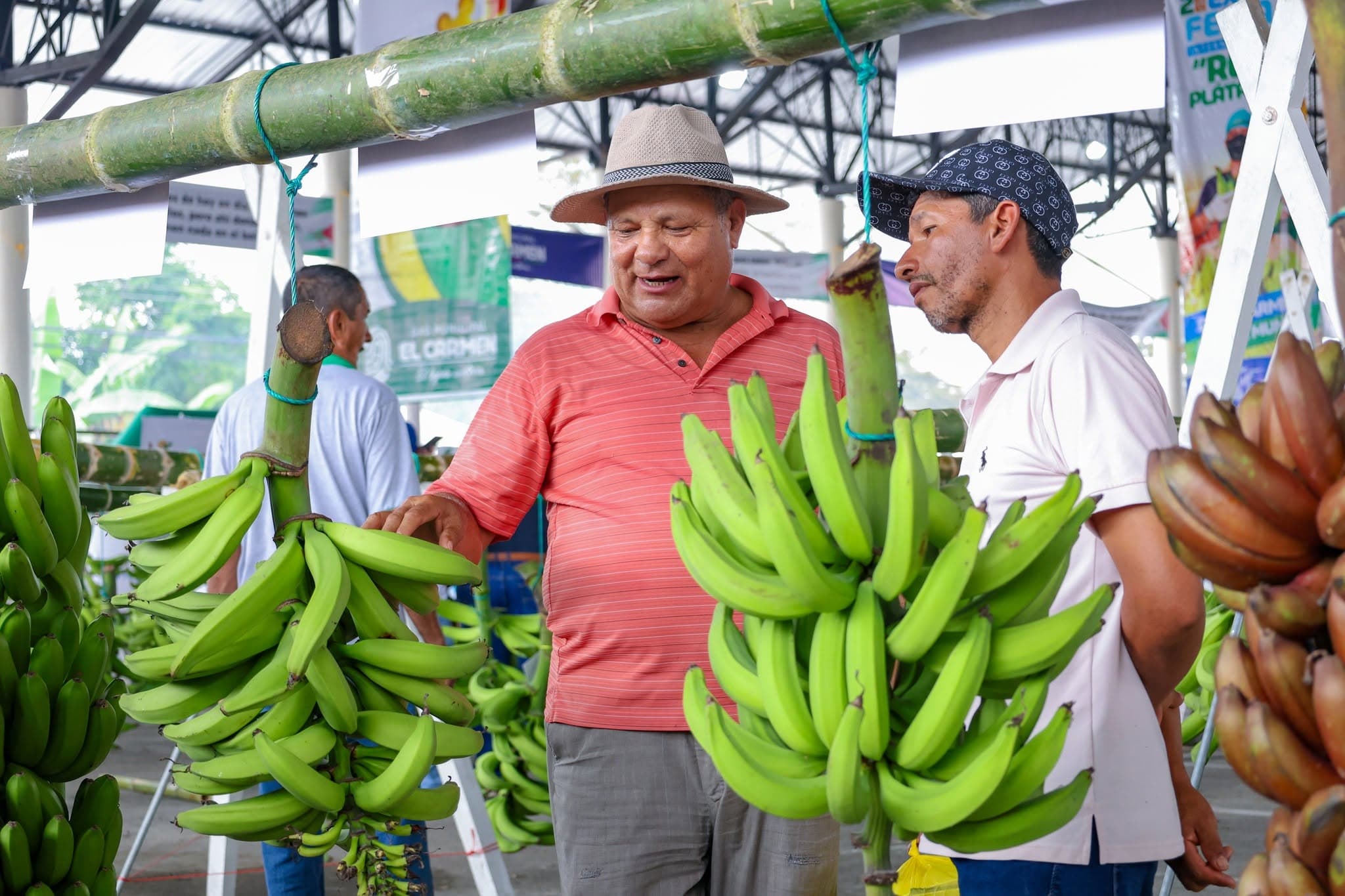 Expoferia Internacional Rey Plátano