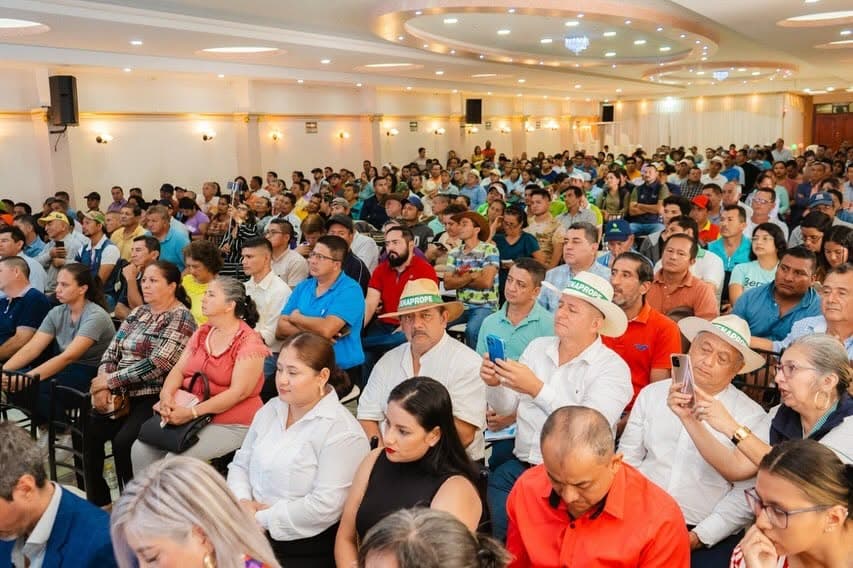 Foro del Plátano